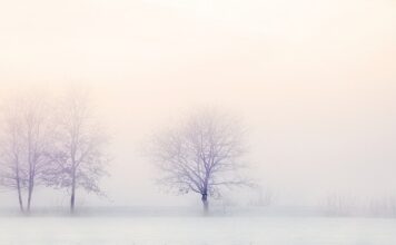 Czy zamrażanie tkanki tłuszczowej jest zdrowe?